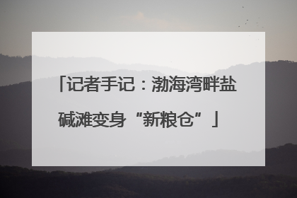 记者手记：渤海湾畔盐碱滩变身“新粮仓”