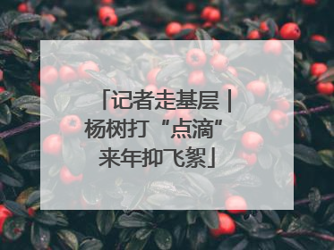 记者走基层｜杨树打“点滴” 来年抑飞絮