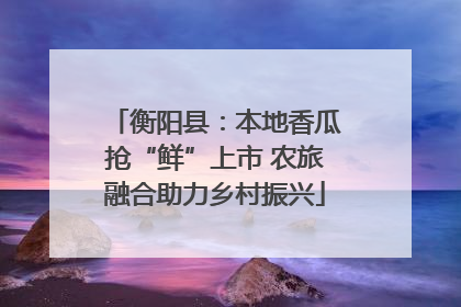 衡阳县：本地香瓜抢“鲜”上市 农旅融合助力乡村振兴