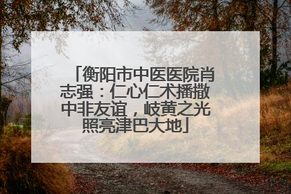 衡阳市中医医院肖志强：仁心仁术播撒中非友谊，岐黄之光照亮津巴大地