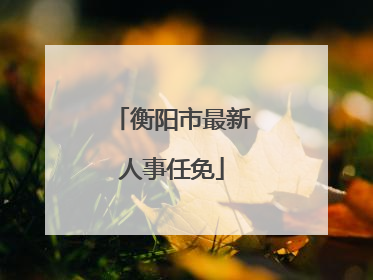 衡阳市最新人事任免
