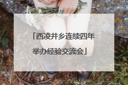 西凌井乡连续四年举办经验交流会