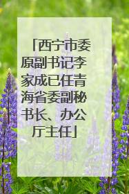 西宁市委原副书记李家成已任青海省委副秘书长、办公厅主任