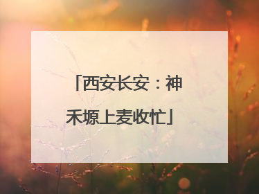 西安长安：神禾塬上麦收忙