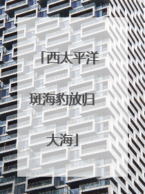 西太平洋斑海豹放归大海
