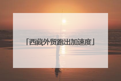 西藏外贸跑出加速度