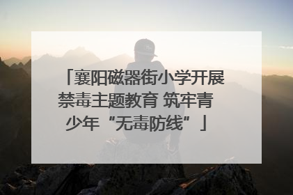 襄阳磁器街小学开展禁毒主题教育 筑牢青少年“无毒防线”