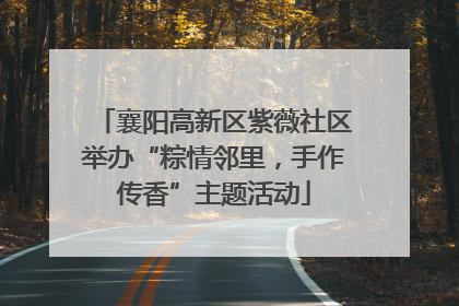襄阳高新区紫薇社区举办“粽情邻里，手作传香”主题活动