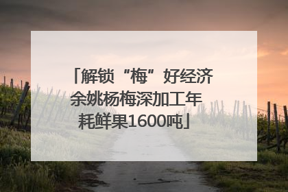 解锁“梅”好经济 余姚杨梅深加工年耗鲜果1600吨
