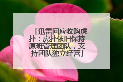 迅雷回应收购虎扑：虎扑依旧保持原班管理团队，支持团队独立经营
