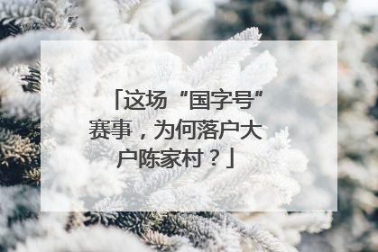 这场“国字号”赛事，为何落户大户陈家村？