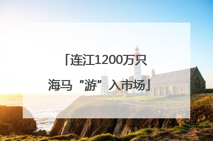 连江1200万只海马“游”入市场