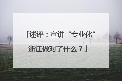 述评：宣讲“专业化” 浙江做对了什么？