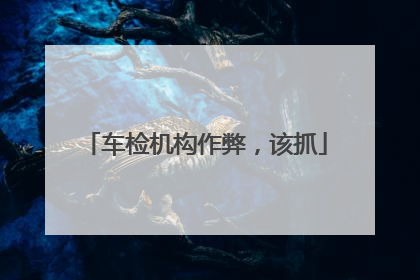车检机构作弊，该抓