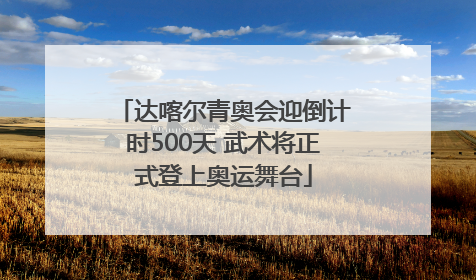 达喀尔青奥会迎倒计时500天 武术将正式登上奥运舞台