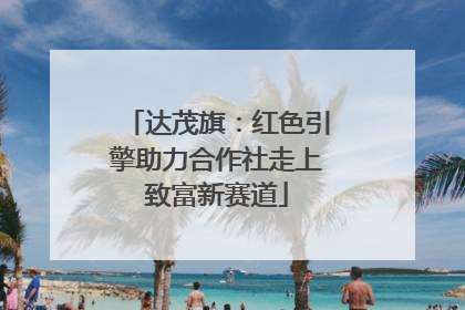 达茂旗：红色引擎助力合作社走上致富新赛道