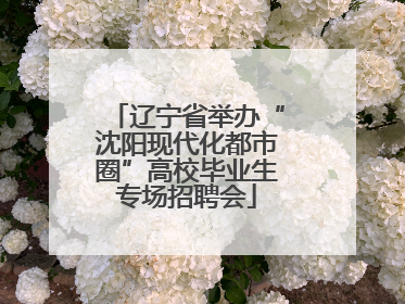 辽宁省举办“沈阳现代化都市圈”高校毕业生专场招聘会