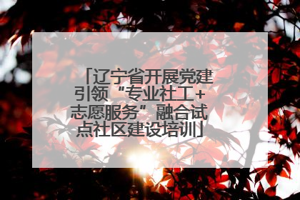 辽宁省开展党建引领“专业社工+志愿服务”融合试点社区建设培训
