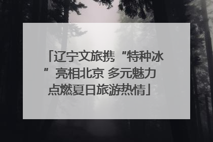 辽宁文旅携“特种冰”亮相北京 多元魅力点燃夏日旅游热情