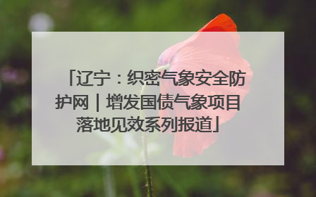 辽宁：织密气象安全防护网｜增发国债气象项目落地见效系列报道