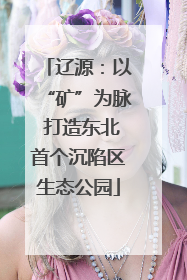 辽源：以“矿”为脉 打造东北首个沉陷区生态公园