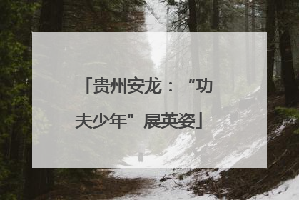 贵州安龙：“功夫少年”展英姿