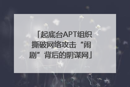 起底台APT组织 撕破网络攻击“闹剧”背后的阴谋网