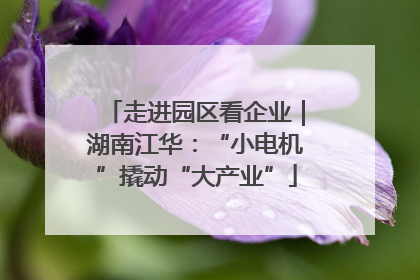 走进园区看企业｜湖南江华：“小电机”撬动“大产业”