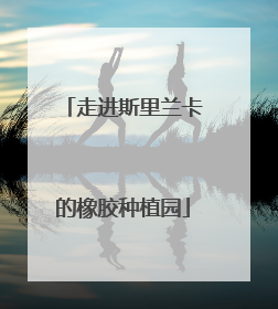 走进斯里兰卡的橡胶种植园