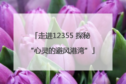 走进12355 探秘“心灵的避风港湾”