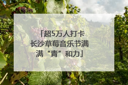 超5万人打卡 长沙草莓音乐节满满“青”和力