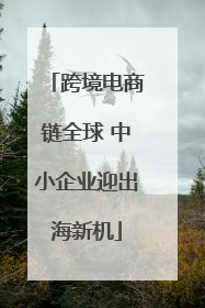 跨境电商链全球 中小企业迎出海新机