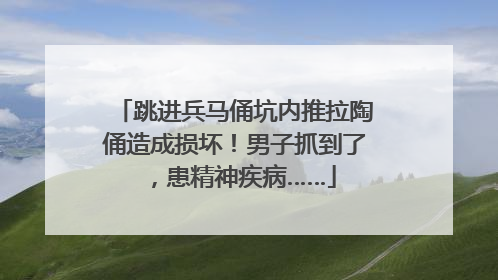 跳进兵马俑坑内推拉陶俑造成损坏！男子抓到了，患精神疾病……