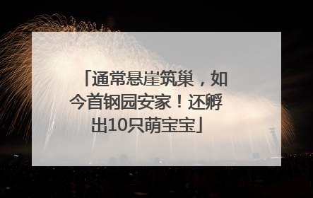 通常悬崖筑巢，如今首钢园安家！还孵出10只萌宝宝