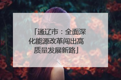 通辽市：全面深化能源改革闯出高质量发展新路
