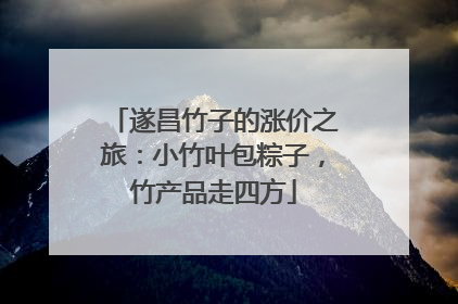 遂昌竹子的涨价之旅：小竹叶包粽子，竹产品走四方