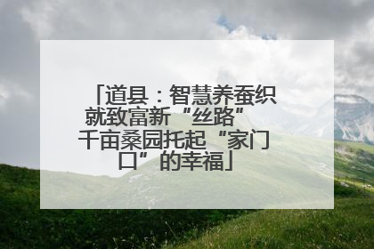 道县：智慧养蚕织就致富新“丝路” 千亩桑园托起“家门口”的幸福