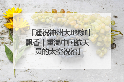 遥祝神州大地粽叶飘香｜重温中国航天员的太空祝福