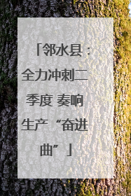 邻水县：全力冲刺二季度 奏响生产“奋进曲”