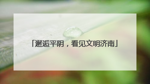 邂逅平阴，看见文明济南