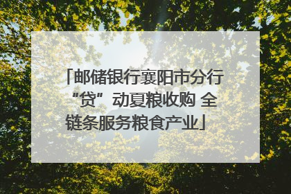 邮储银行襄阳市分行“贷”动夏粮收购 全链条服务粮食产业