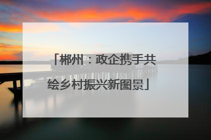 郴州：政企携手共绘乡村振兴新图景