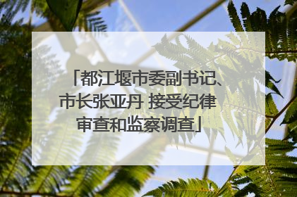 都江堰市委副书记、市长张亚丹 接受纪律审查和监察调查