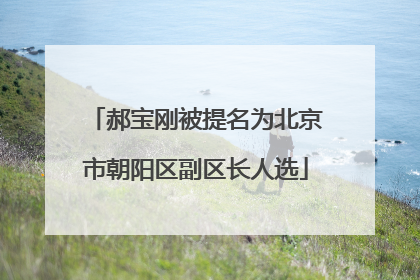 郝宝刚被提名为北京市朝阳区副区长人选