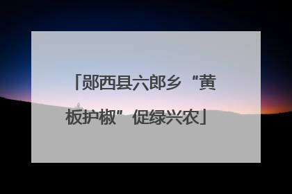 郧西县六郎乡“黄板护椒”促绿兴农