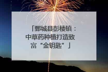 鄄城县彭楼镇：中草药种植打造致富“金钥匙”