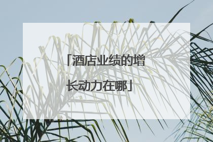 酒店业绩的增长动力在哪