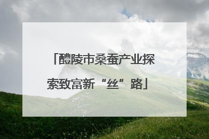 醴陵市桑蚕产业探索致富新“丝”路