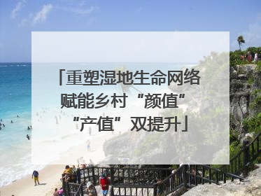 重塑湿地生命网络 赋能乡村“颜值”“产值”双提升