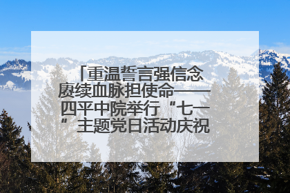 重温誓言强信念 赓续血脉担使命——四平中院举行“七一”主题党日活动庆祝建党104周年